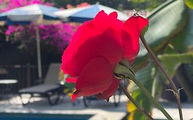 hotel quinta real las palmas malinalco